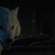 The blink-and-you’ll-miss it moment of direwolf badassery